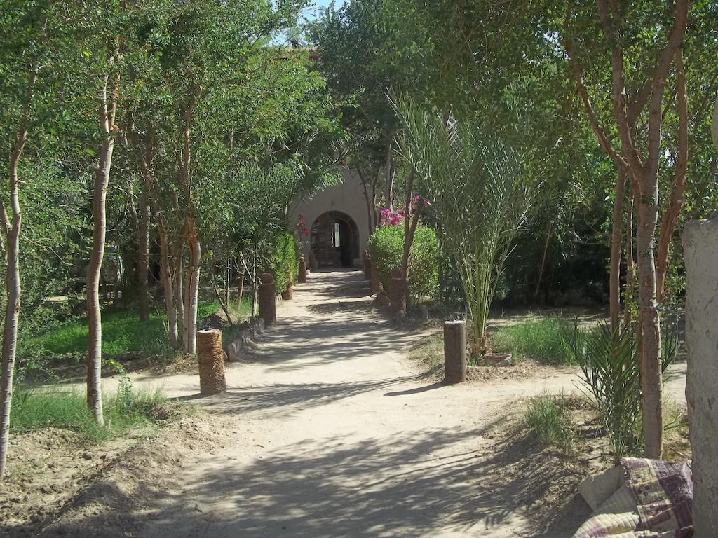 מלון לוקסור Nour El Balad מראה חיצוני תמונה